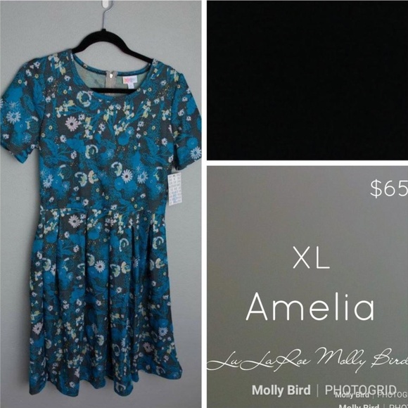LLR Amelia XL - Picture 1 of 1